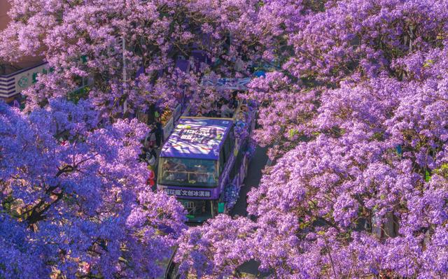 优服务繁荣文旅市场开元棋牌app以更(图7)