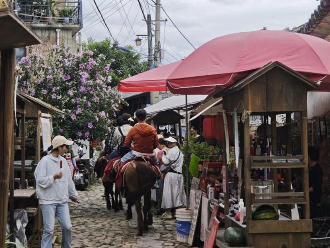 留量”艺术扎根结出“金果子”开元棋牌app凤阳邑流量变“(图2) 留量”艺术扎根结出“金果子”开元棋牌app凤阳邑流量变“(图2)