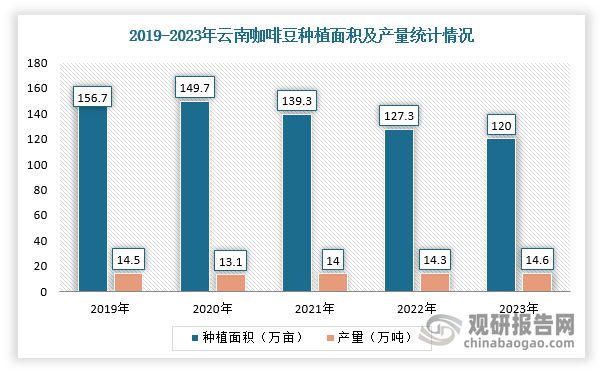 投资趋势分析报告（2025-2032年）ky开元棋牌中国咖啡豆行业现状深度研究与(图3)