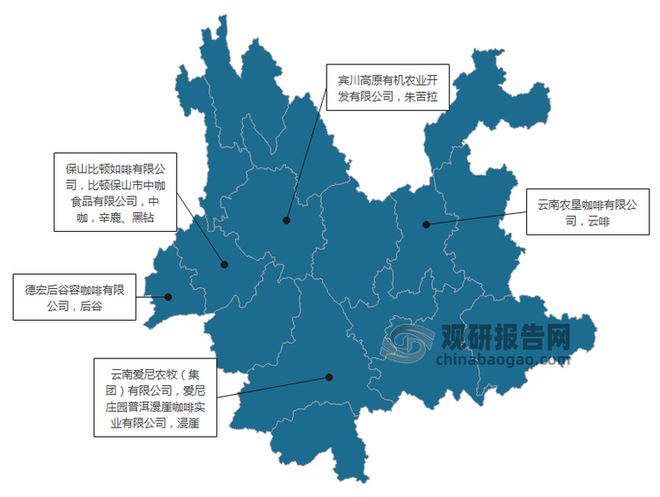 投资趋势分析报告（2025-2032年）ky开元棋牌中国咖啡豆行业现状深度研究与(图4)